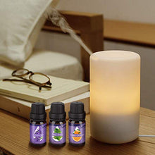 Carica l'immagine nel visualizzatore di Gallery, Oli Essenziali per Diffusori,Aromaterapia Puri 100%,Naturali... - Ilgrandebazar