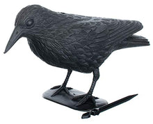 Carica l'immagine nel visualizzatore di Gallery, Brandsseller Set 3 Statuetta di Corvo 36 cm Neri 3 Pezzi Corvo Finto Spaventapasseri
