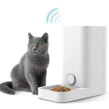 Carica l'immagine nel visualizzatore di Gallery, PETKIT Alimentatore Automatico Intelligente di Alta qualità,Non 2,8L Mini - Ilgrandebazar