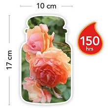 Carica l'immagine nel visualizzatore di Gallery, Yankee Candle, Candela grande vaso, Rosa vaso - Ilgrandebazar