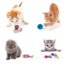 Carica l'immagine nel visualizzatore di Gallery, DONO - Set di 21 Giocattoli interattivi per Gatti, Piume, Cruz V2 Fresh Foam
