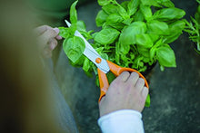 Carica l'immagine nel visualizzatore di Gallery, Fiskars Forbici multiuso, Lunghezza: 21 cm, Lama in acciaio inox/Impugnature... - Ilgrandebazar