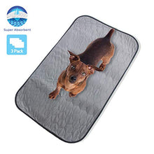 Carica l'immagine nel visualizzatore di Gallery, Tappetini assorbenti per cani - Pet Magasin - educatore tappetini lavabile,... - Ilgrandebazar