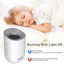 Carica l'immagine nel visualizzatore di Gallery, Deumidificatore Portatile COONOE Deumidificatori Elettrico Mini 600ml... - Ilgrandebazar
