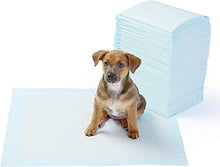 Carica l'immagine nel visualizzatore di Gallery, AmazonBasics - Tappetini igienici assorbenti per animali Pacco da 100 - Ilgrandebazar