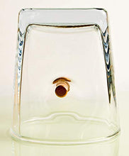 Carica l'immagine nel visualizzatore di Gallery, KolbergGlas Regalo per Uomini Bicchiere da Whisky con calibro proiettile... - Ilgrandebazar
