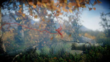 Carica l'immagine nel visualizzatore di Gallery, Unravel Yarny Bundle - PlayStation 4