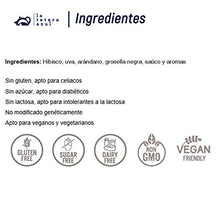 Carica l'immagine nel visualizzatore di Gallery, LA TETERA AZUL Premium Forest Fruit Infusion. Ibisco, uva, 60 piramidi