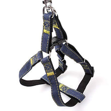 Carica l'immagine nel visualizzatore di Gallery, Set guinzaglio per Cani Collare in Denim Gatto di Small, Nero - Ilgrandebazar