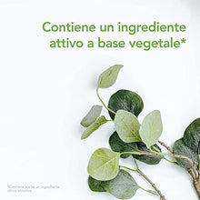 Carica l'immagine nel visualizzatore di Gallery, Raid Essentials Mosche e Zanzare Spray Insetticida, Con Ingrediente Attivo a Base Vegetale, 1 Confezione da 400 ml