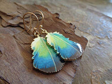 Carica l'immagine nel visualizzatore di Gallery, ✿ FOGLIA ORO SMALTO - ✿ orecchini piuma di pavone verde - blu -...