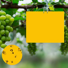 Carica l'immagine nel visualizzatore di Gallery, Ulikey 30 Pezzi Trappole Appiccicose, Biadesivo per Insetti,...