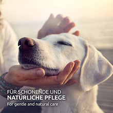 Carica l'immagine nel visualizzatore di Gallery, AniForte tamponi per la Pulizia degli Occhi Cani 100 Pezzi - salviette...
