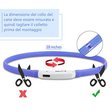 Carica l'immagine nel visualizzatore di Gallery, Zacro Collare di Cane LED, per cane LED Lampeggiante, di... - Ilgrandebazar