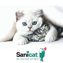 Carica l'immagine nel visualizzatore di Gallery, Sanicat 803599 Gatto diffusa Selection Mediterraneo, 15 L