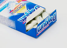 Carica l'immagine nel visualizzatore di Gallery, 1