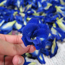 Carica l'immagine nel visualizzatore di Gallery, Blue Butterfly Pea Flowers (Clitoria Ternatea/Anchan) - Magic Colour...