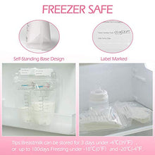 Carica l'immagine nel visualizzatore di Gallery, Sacche Contenitori per Latte Materno, pre-sterilizzate 100pcs