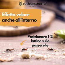 Carica l'immagine nel visualizzatore di Gallery, Panteer ® Lattina di esca per formiche - 4 esche per formiche - Facile controllo delle formiche con veleno per formiche - Contro più di 3 specie - Per interni e per le formiche nel prato