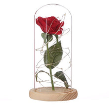 Carica l'immagine nel visualizzatore di Gallery, Ledmomo - Lampada con rosa in seta e luce a LED, cupola di vetro e base... - Ilgrandebazar