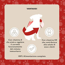 Carica l'immagine nel visualizzatore di Gallery, Marchio Amazon - Lifelong Alimento completo per cani adulti- Selezione 2.4 kg - Ilgrandebazar