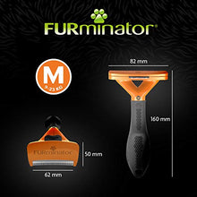 Carica l'immagine nel visualizzatore di Gallery, Furminator Strumento Premium per il deShedding del Sottopelo Cani Media