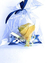 Carica l'immagine nel visualizzatore di Gallery, 1