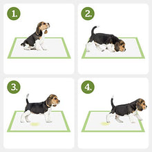 Carica l'immagine nel visualizzatore di Gallery, Pogi's Training Pads (40-Pezzi) (45x60cm) - Taglia Media, Pacchetto di 40