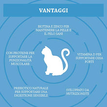 Carica l'immagine nel visualizzatore di Gallery, Amazon Brand - Solimo - Complete Dry Cat Food - Salmon, Tuna and 3 kg - Ilgrandebazar