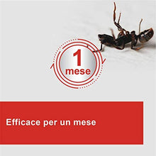 Carica l'immagine nel visualizzatore di Gallery, 1