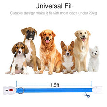 Carica l'immagine nel visualizzatore di Gallery, kolpop Collare Luminoso per Cani, LED Cani blu - Ilgrandebazar