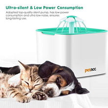 Carica l'immagine nel visualizzatore di Gallery, Petacc Fontana per Gatti Dispenser Acqua Erogatore Bianco e Verde - Ilgrandebazar