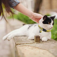 Carica l'immagine nel visualizzatore di Gallery, Set da 6 Collare Gatto o Piccolo Cane Sicurezza Riflettenti Rimovibili... - Ilgrandebazar