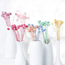 Carica l'immagine nel visualizzatore di Gallery, INVISIKAYAK Craspedia Globosa Materiale Fiore Immortal 40pcs, Creamy-white - Ilgrandebazar