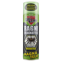 Carica l'immagine nel visualizzatore di Gallery, Zig Zag, Insetticida, Magnatela, Insetticida per Ragni e Ragnatele ad alta...
