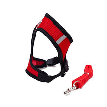 Carica l'immagine nel visualizzatore di Gallery, Locisne Tessuto di maglia del cane cablaggio della Piccolo, Rosso - Ilgrandebazar
