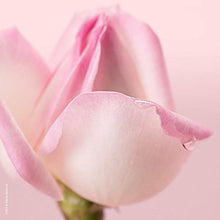Carica l'immagine nel visualizzatore di Gallery, Petales De Rose Micellar Foam Cleanser 150ml 150 ml - Ilgrandebazar