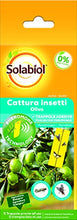 Carica l'immagine nel visualizzatore di Gallery, Solabiol Cattura Insetti con feromone per olivo, 5 trappole