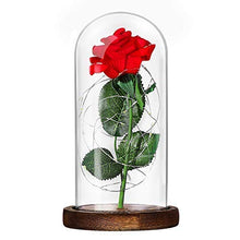 Carica l'immagine nel visualizzatore di Gallery, LEDMOMO Rosa di seta con luce a LED in cupola vetro su base legno la... - Ilgrandebazar