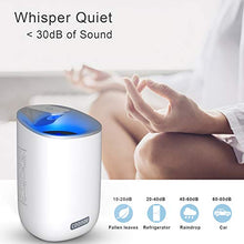 Carica l'immagine nel visualizzatore di Gallery, Deumidificatore Portatile COONOE Deumidificatori Elettrico Mini 600ml... - Ilgrandebazar
