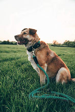 Carica l'immagine nel visualizzatore di Gallery, Embark Pets - Collare in corda per cani, cotone intrecciato Small, Slight