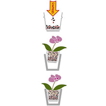 Carica l'immagine nel visualizzatore di Gallery, 4