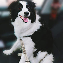 Carica l'immagine nel visualizzatore di Gallery, Imbracatura per Auto Cani 2 Pezzi Cinghie Cinture di Sicurezza...