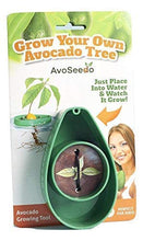 Carica l'immagine nel visualizzatore di Gallery, AvoSeedo Kit regalo da Giardinaggio per Avocado Green - Ilgrandebazar