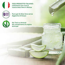 Carica l'immagine nel visualizzatore di Gallery, Benessence - Nalia Spray con Citronella ed Aloe Vera per cani e gatti - 250...