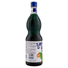 Carica l'immagine nel visualizzatore di Gallery, Fabbri Sciroppo Menta 1l