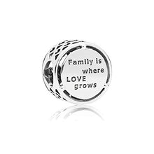 Carica l'immagine nel visualizzatore di Gallery, Pandora Bead Charm Donna argento - 797590 - Ilgrandebazar