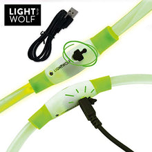 Carica l'immagine nel visualizzatore di Gallery, Riijk, collare luminoso a LED per cani e gatti, resistente alla pioggia Verde