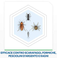 Carica l'immagine nel visualizzatore di Gallery, Raid Max Scarafaggi &amp; Formiche 3 in 1, Spray Insetticida, Eucalipto, 1 Confezione da 400ml