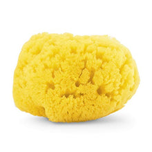 Carica l'immagine nel visualizzatore di Gallery, Chicco Spugna Marina, 100% Naturale, 0+ Mesi - Ilgrandebazar